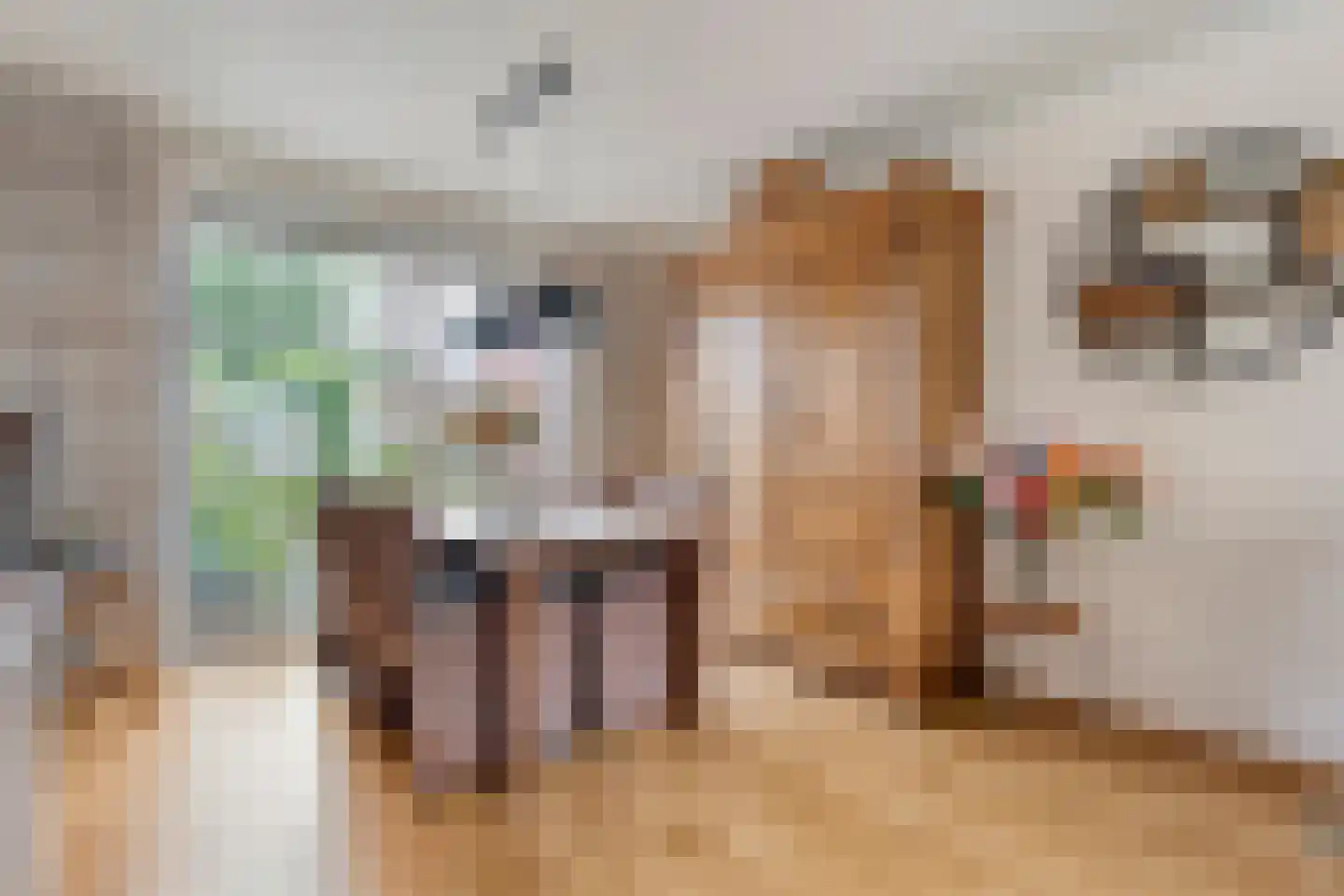 G J Piksenstraat 15 Nijverdal thumbnail 12