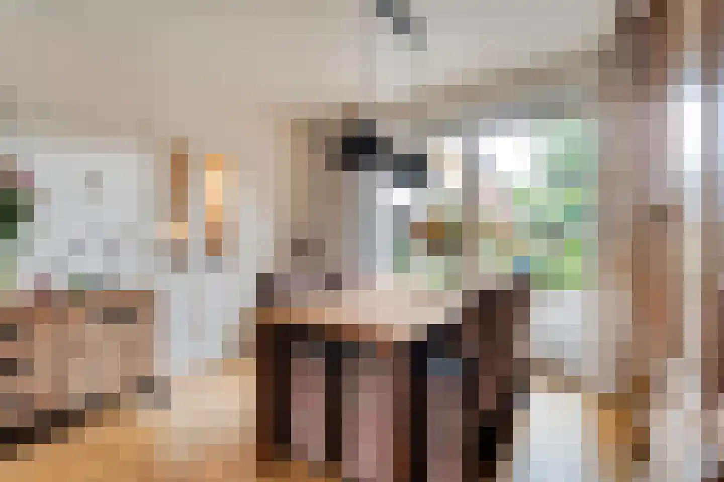 G J Piksenstraat 15 Nijverdal thumbnail 13