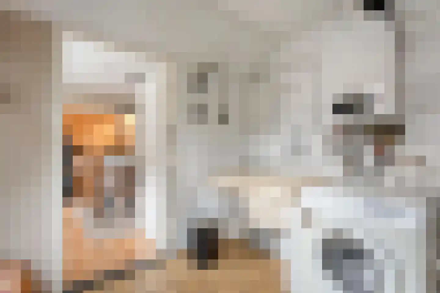 G J Piksenstraat 15 Nijverdal thumbnail 19