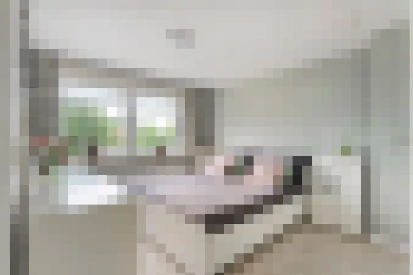G J Piksenstraat 15 Nijverdal thumbnail 22