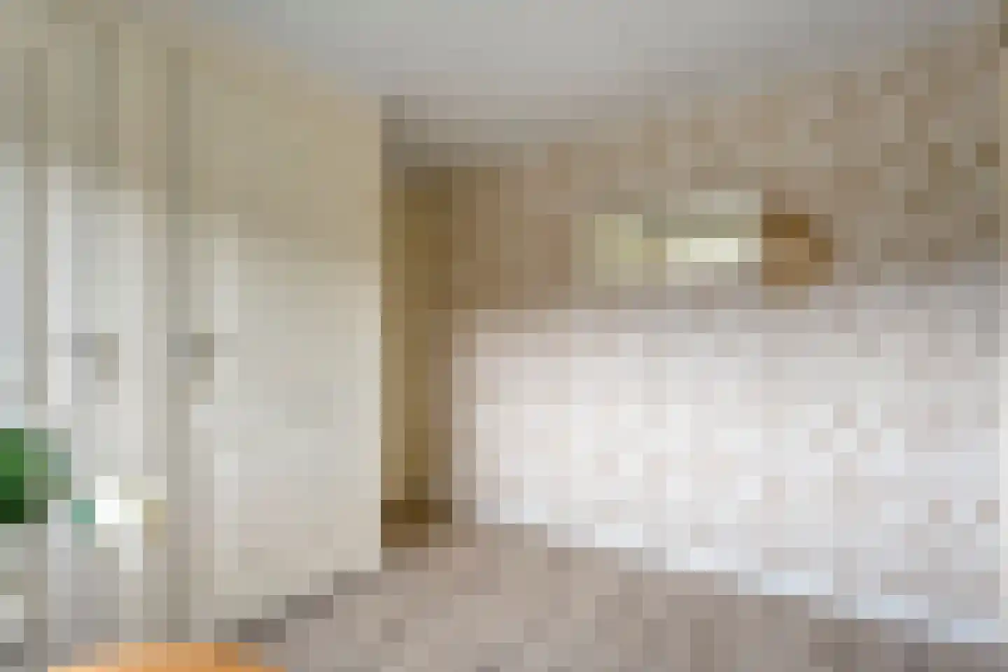 G J Piksenstraat 15 Nijverdal thumbnail 25
