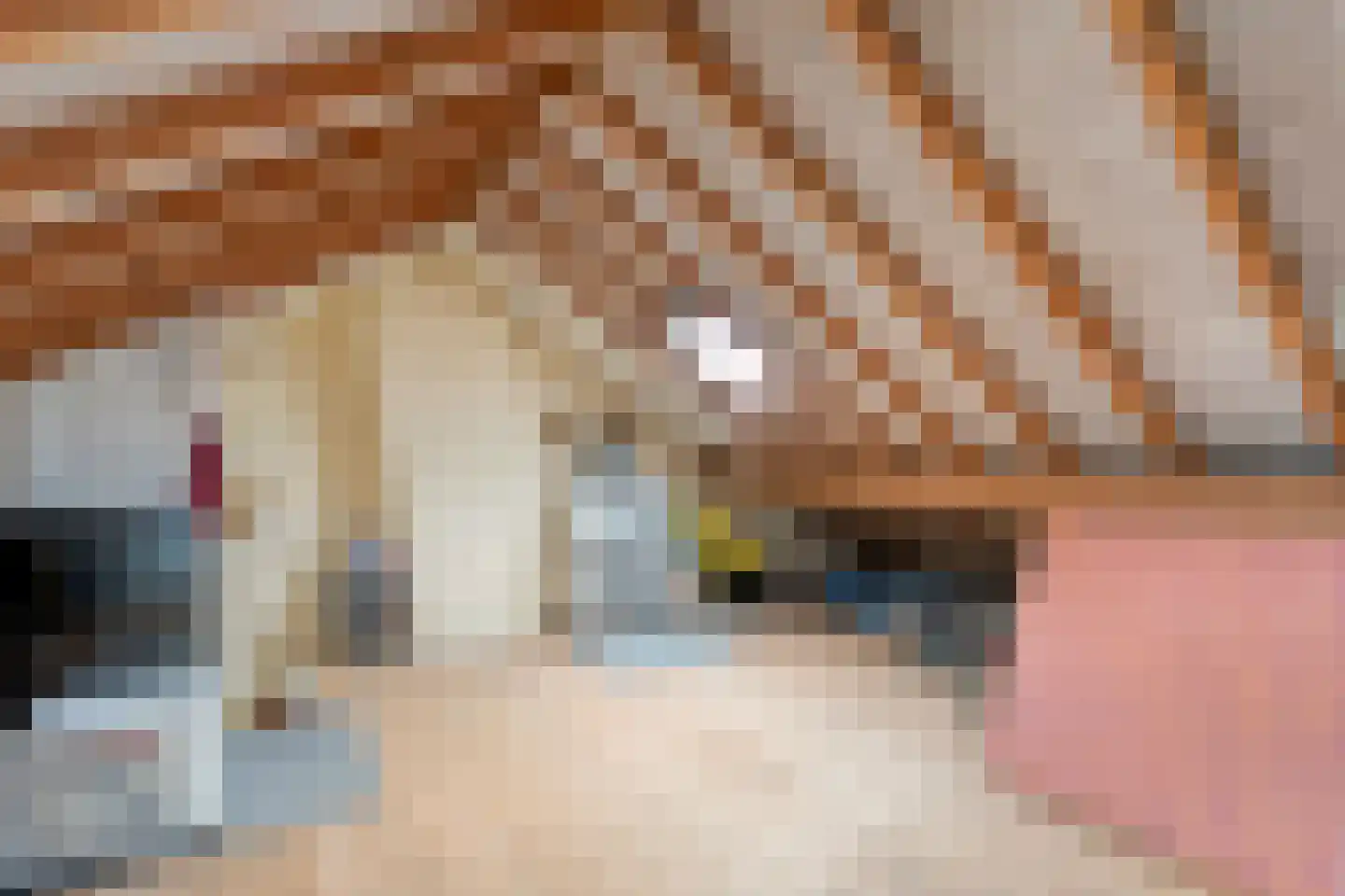 G J Piksenstraat 15 Nijverdal thumbnail 30