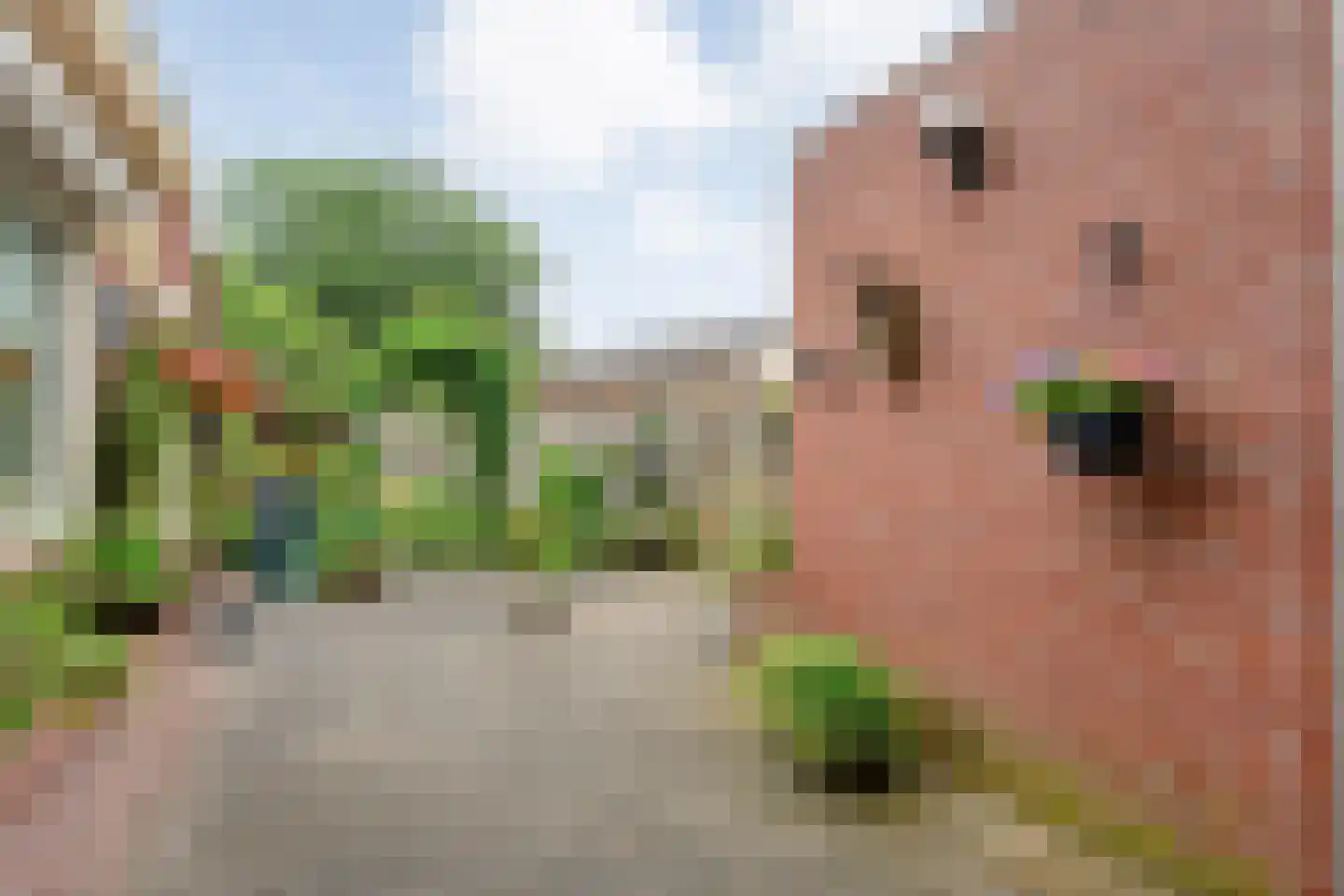 G J Piksenstraat 15 Nijverdal thumbnail 33