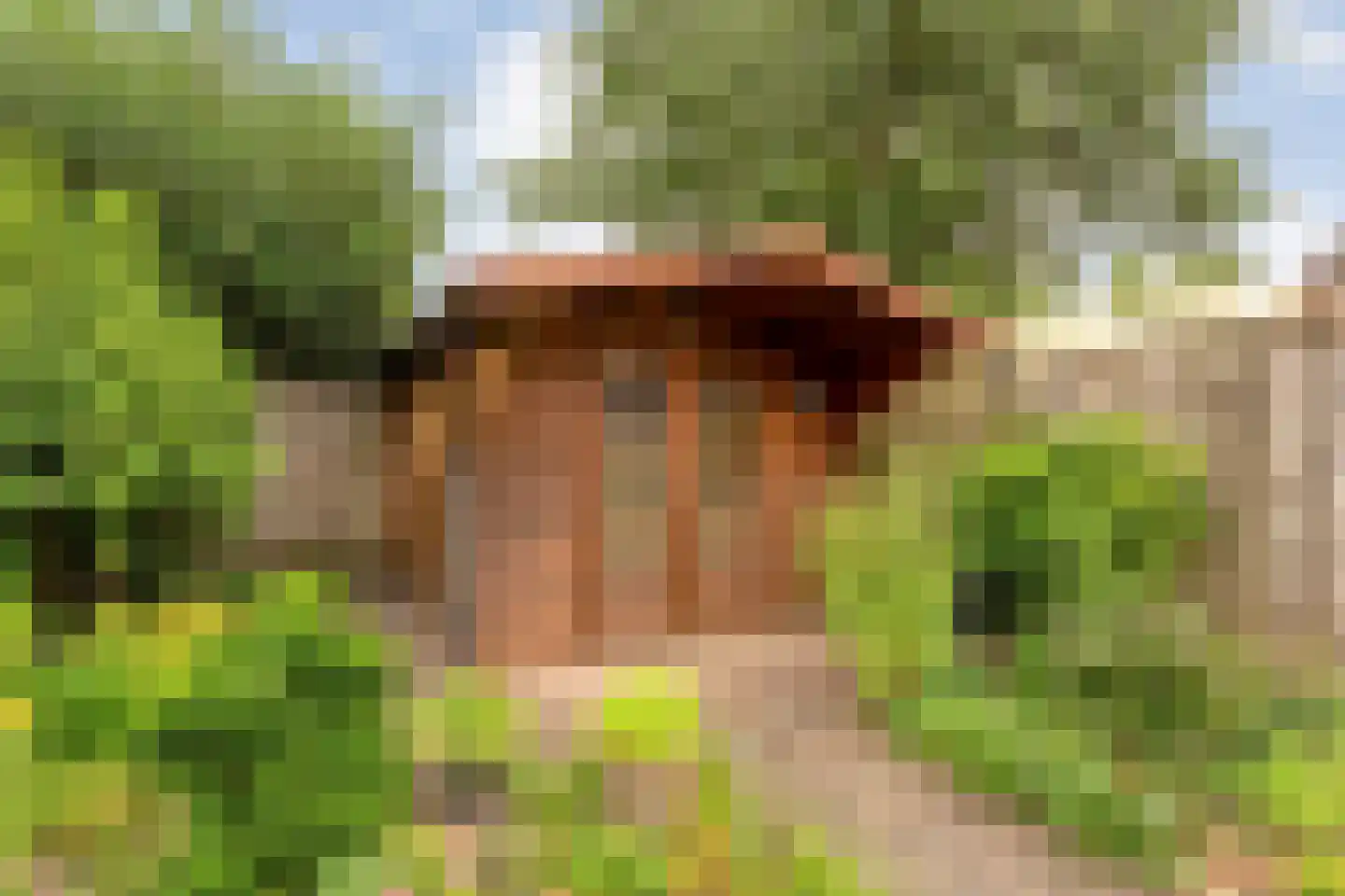 G J Piksenstraat 15 Nijverdal thumbnail 38