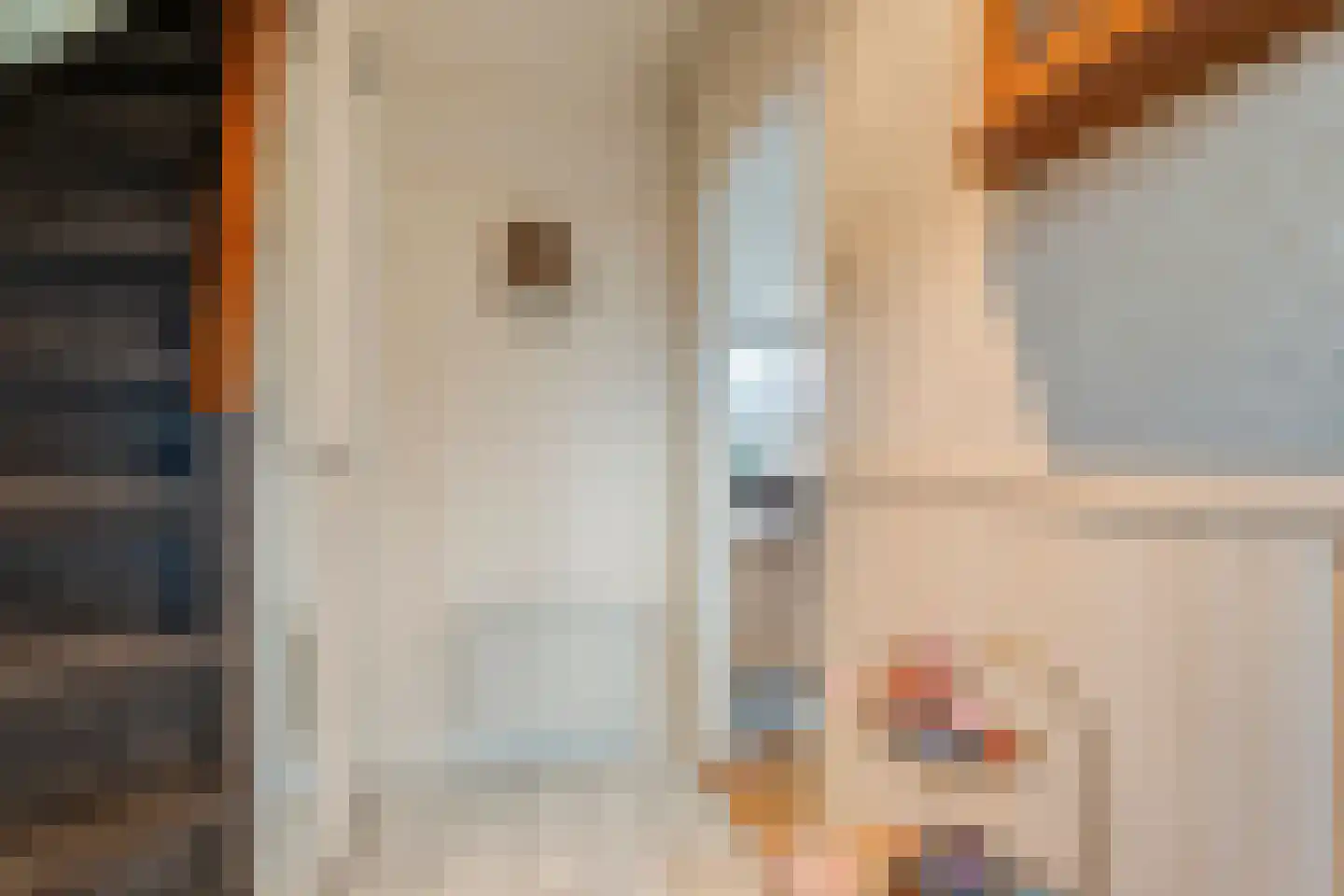 G J Piksenstraat 15 Nijverdal thumbnail 6