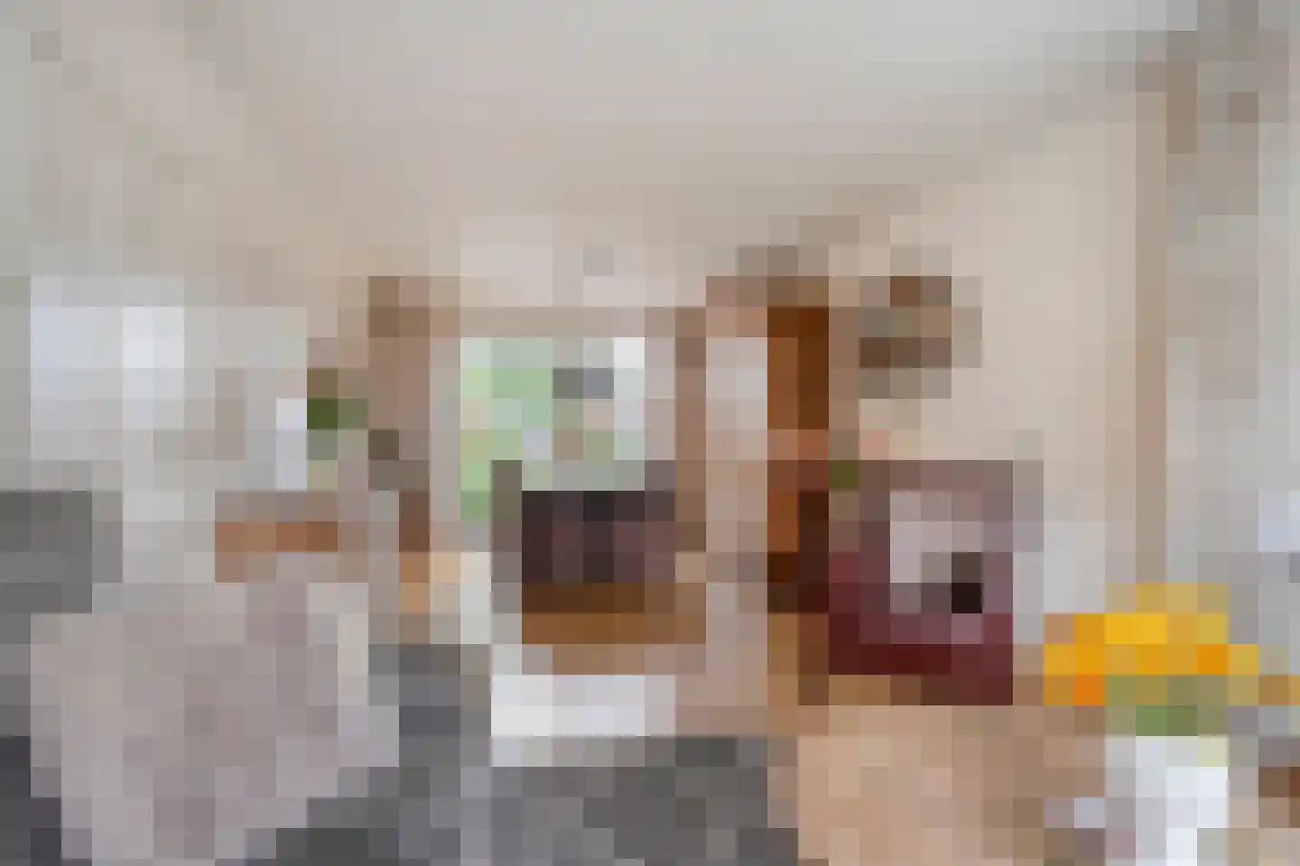 G J Piksenstraat 15 Nijverdal thumbnail 9