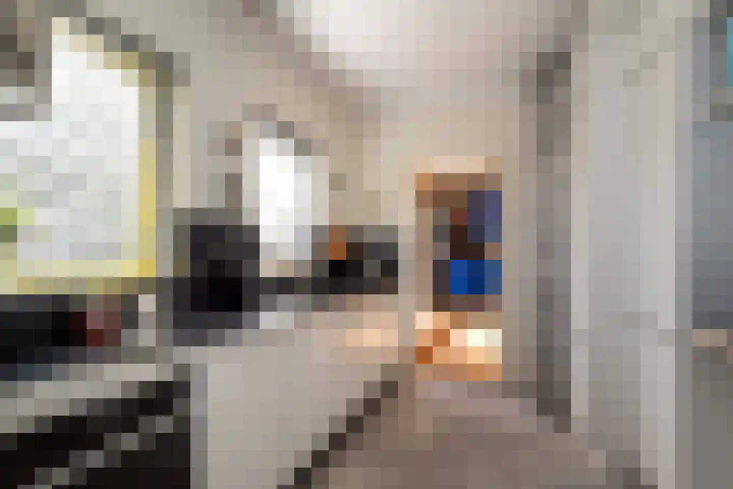 G J Piksenstraat 47 Nijverdal thumbnail 14