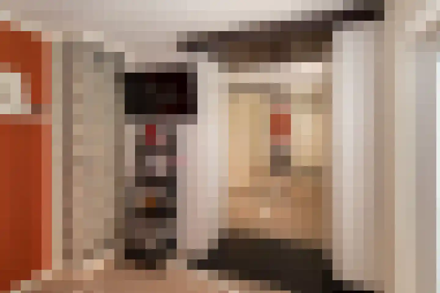 G J Piksenstraat 47 Nijverdal thumbnail 22