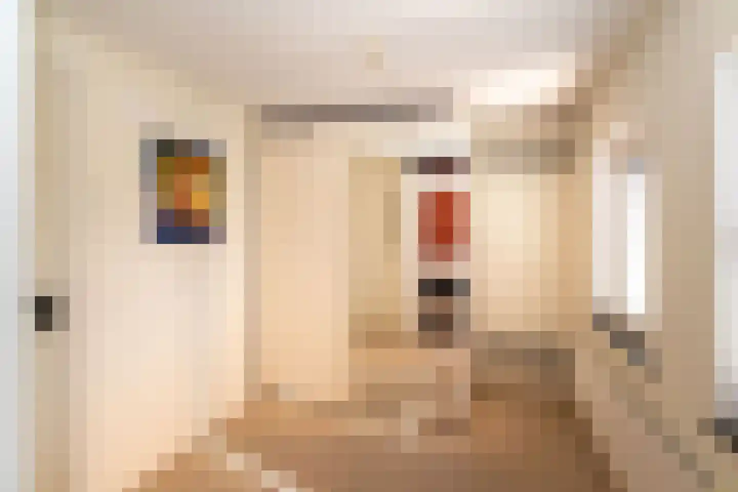 G J Piksenstraat 47 Nijverdal thumbnail 23