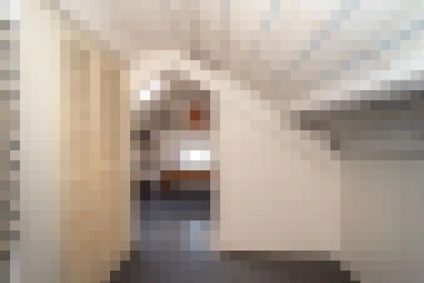 G J Piksenstraat 47 Nijverdal thumbnail 32