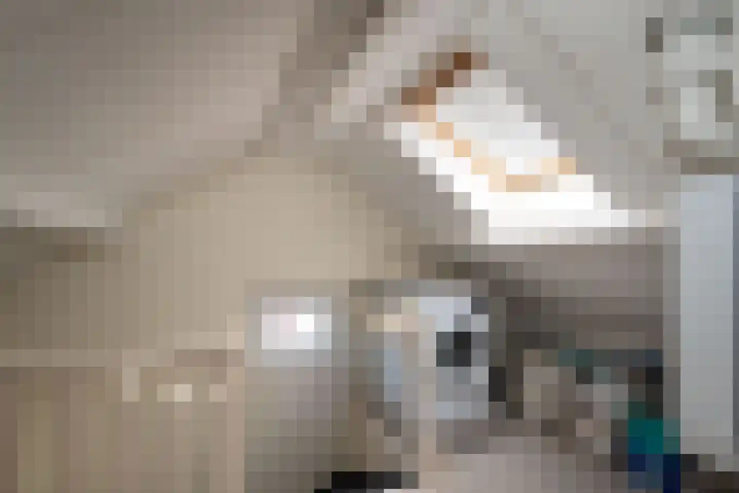 G J Piksenstraat 47 Nijverdal thumbnail 33