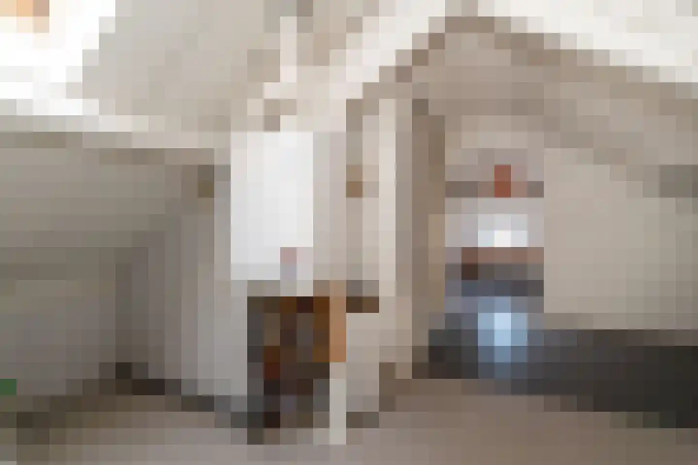 G J Piksenstraat 47 Nijverdal thumbnail 34