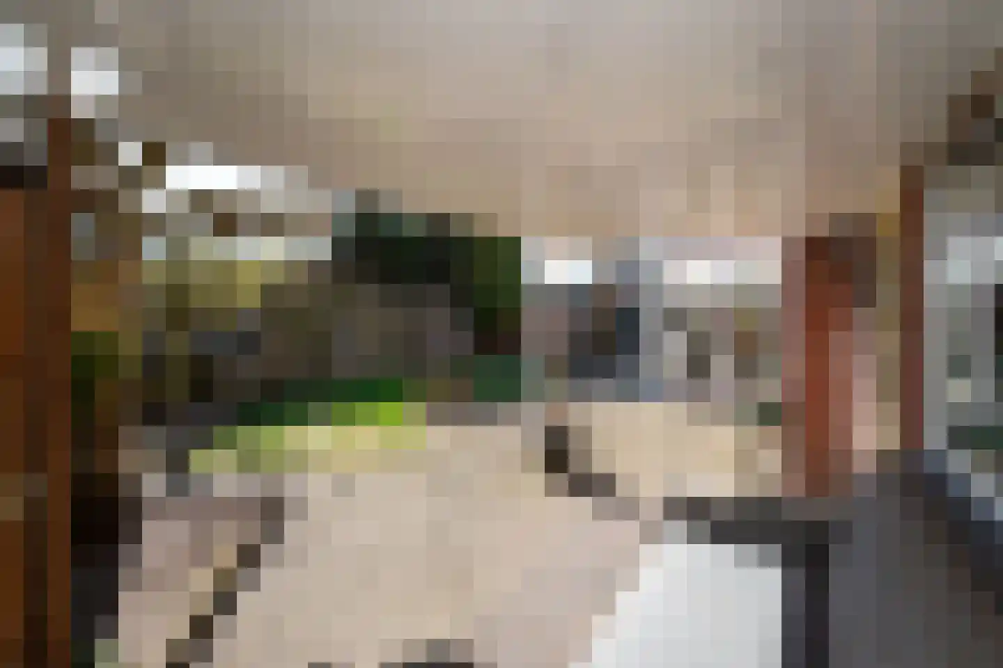 G J Piksenstraat 47 Nijverdal thumbnail 42