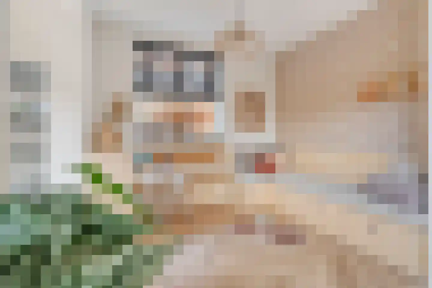 G J Piksenstraat 50 Nijverdal thumbnail 16
