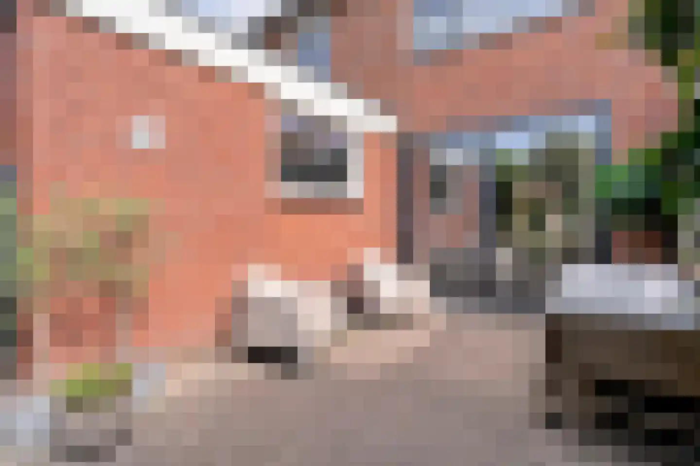 G J Piksenstraat 50 Nijverdal thumbnail 46