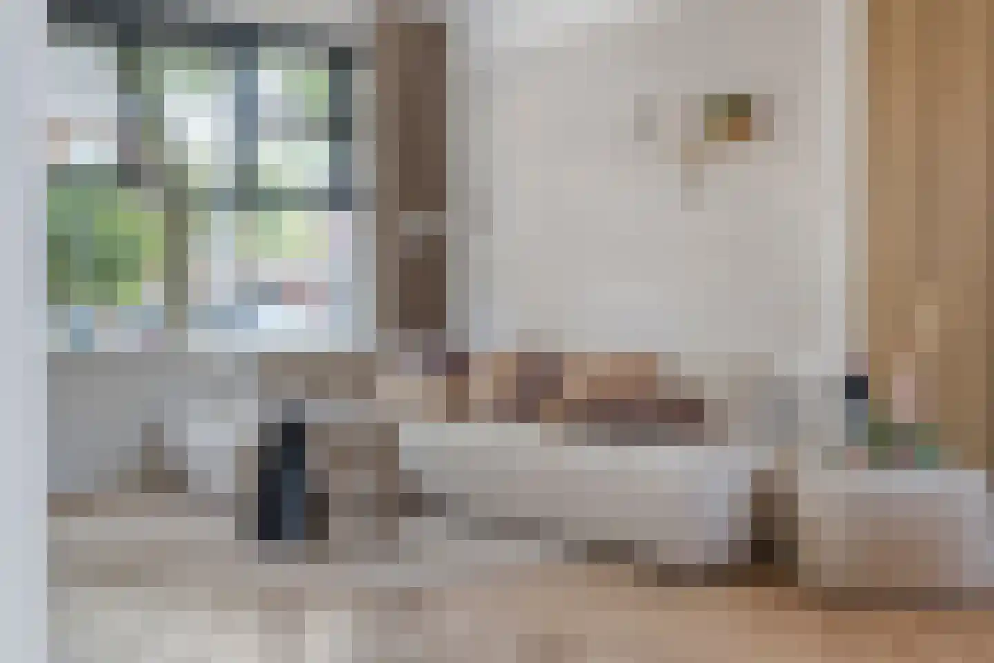 G J Piksenstraat 50 Nijverdal thumbnail 9