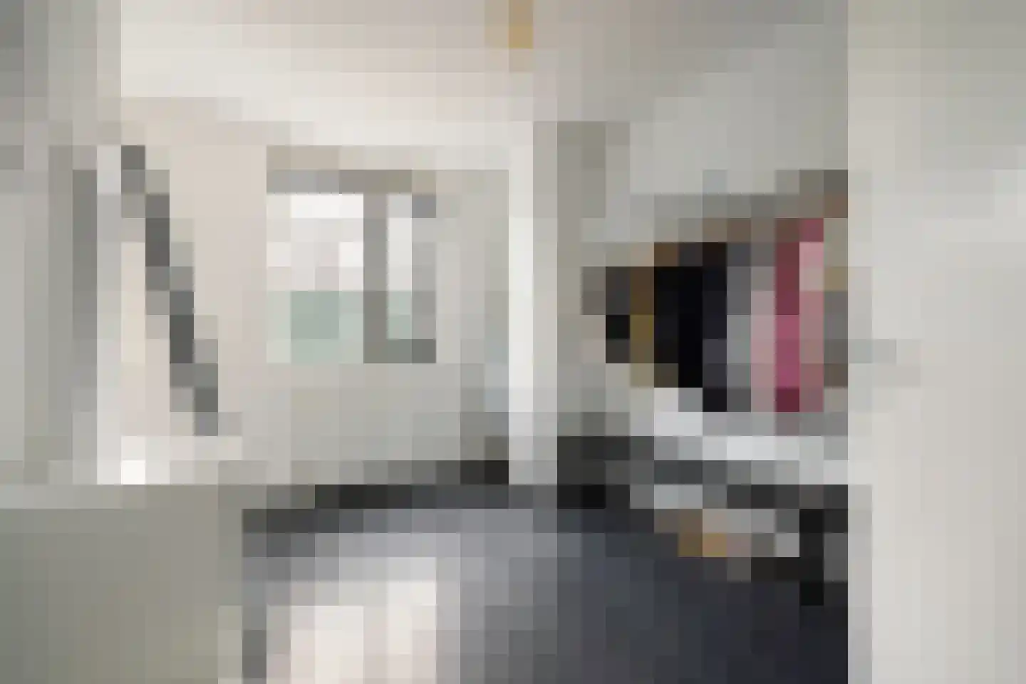 G.J. Scheurleerweg 64 Amsterdam thumbnail 18
