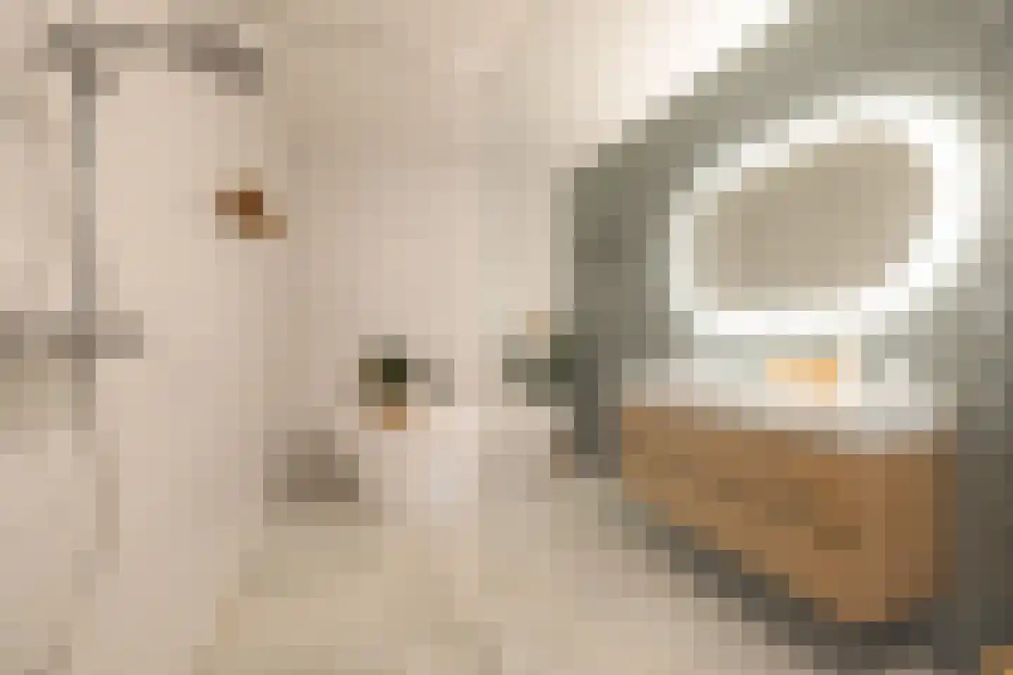 G.J. Scheurleerweg 64 Amsterdam thumbnail 18