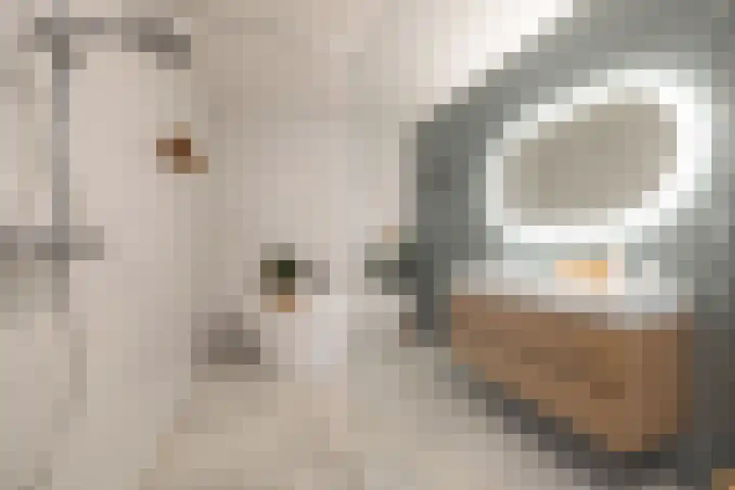 G.J. Scheurleerweg 64 Amsterdam thumbnail 21