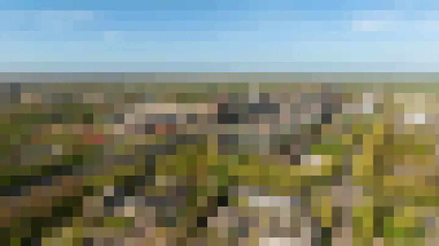 G.J. Scheurleerweg 64 Amsterdam thumbnail 31