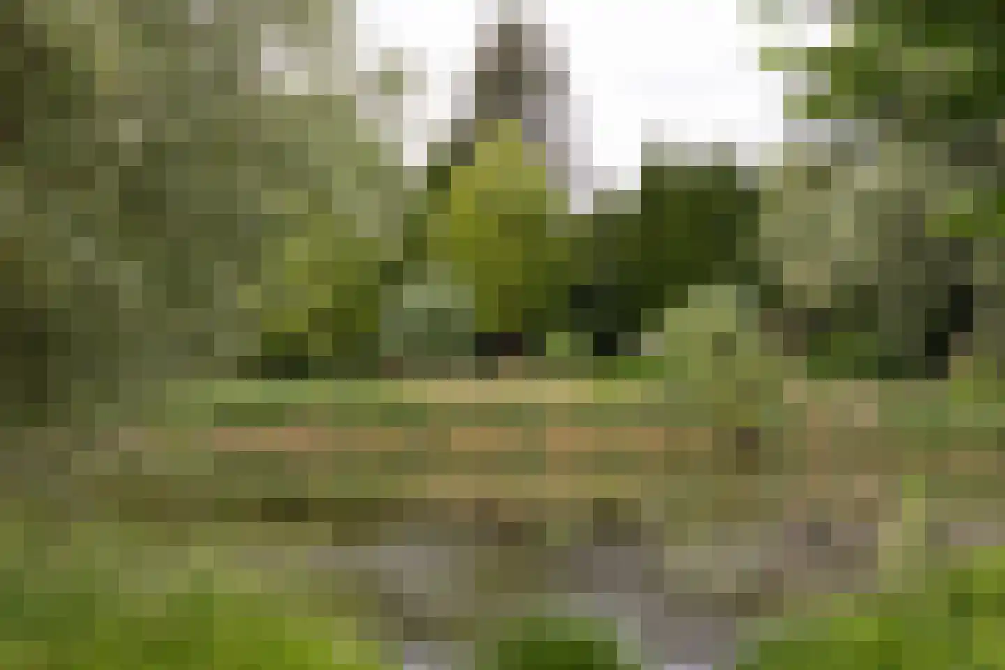 G.J. Scheurleerweg 64 Amsterdam thumbnail 38