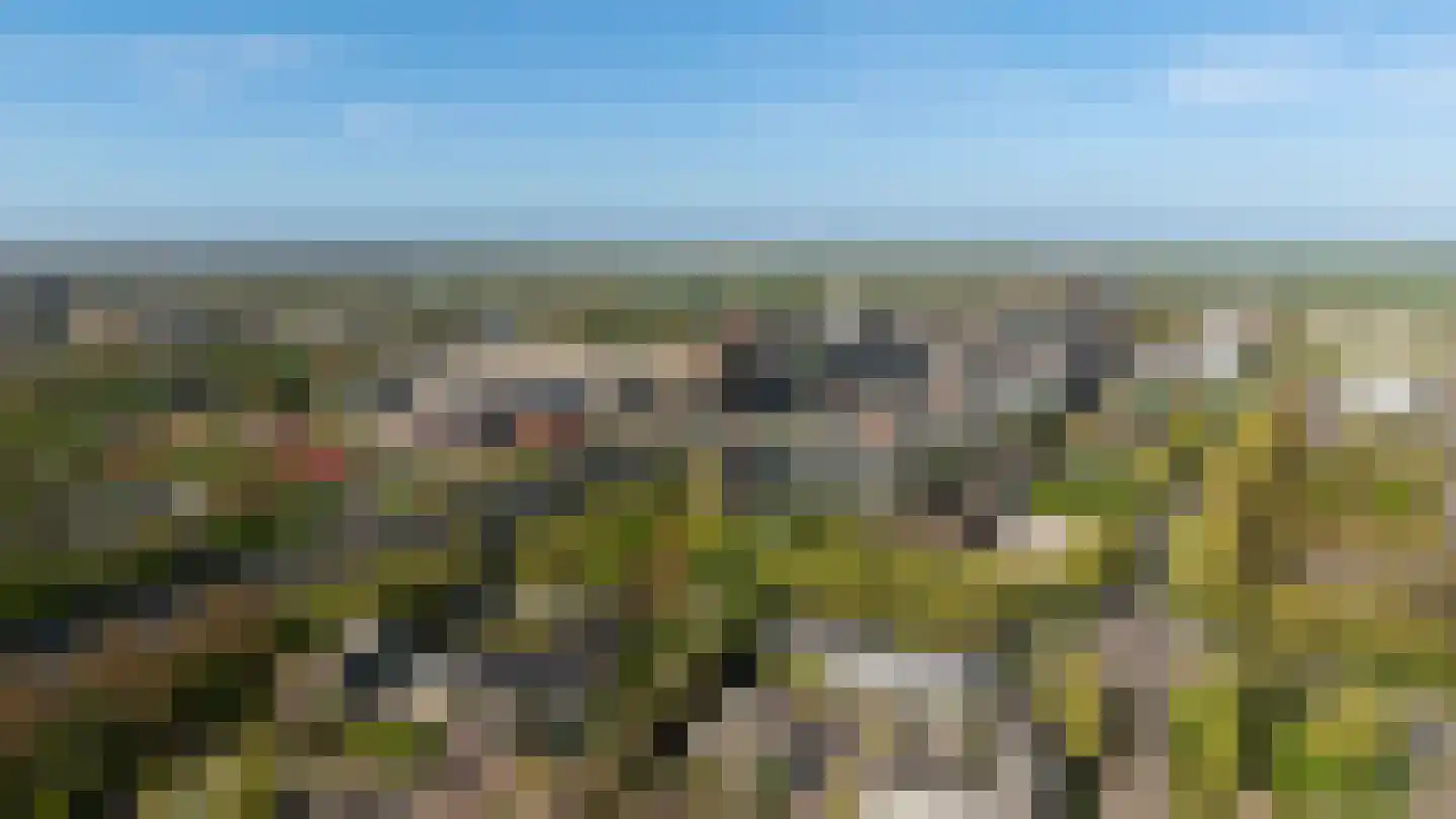 G.J. Scheurleerweg 64 Amsterdam thumbnail 42