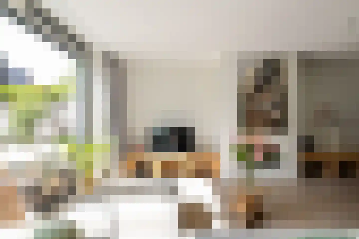 G.J. Scheurleerweg 64 Amsterdam thumbnail 5
