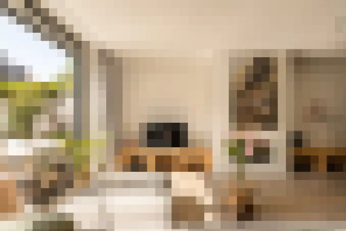 G.J. Scheurleerweg 64 Amsterdam thumbnail 7