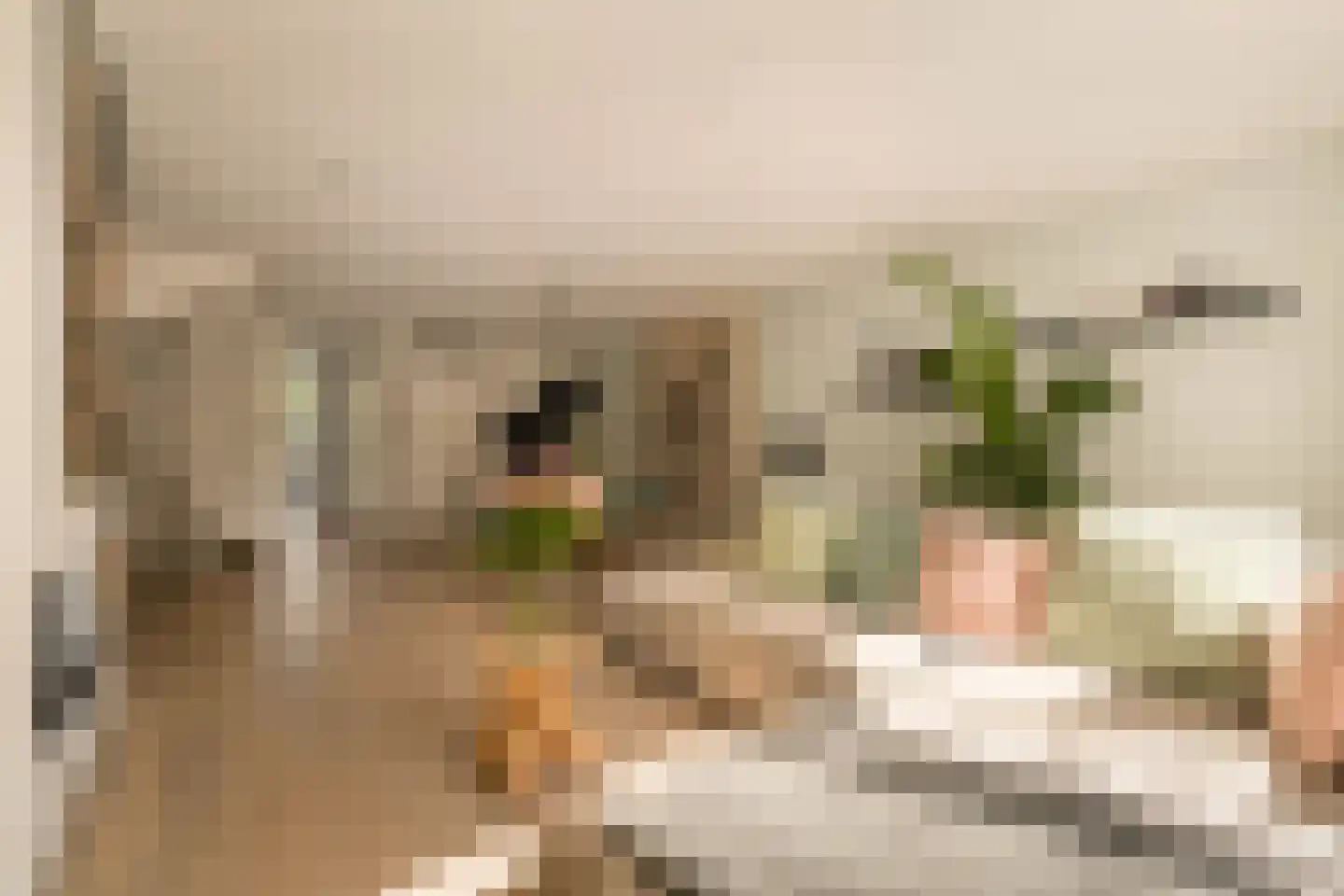 G.J. Scheurleerweg 64 Amsterdam thumbnail 9