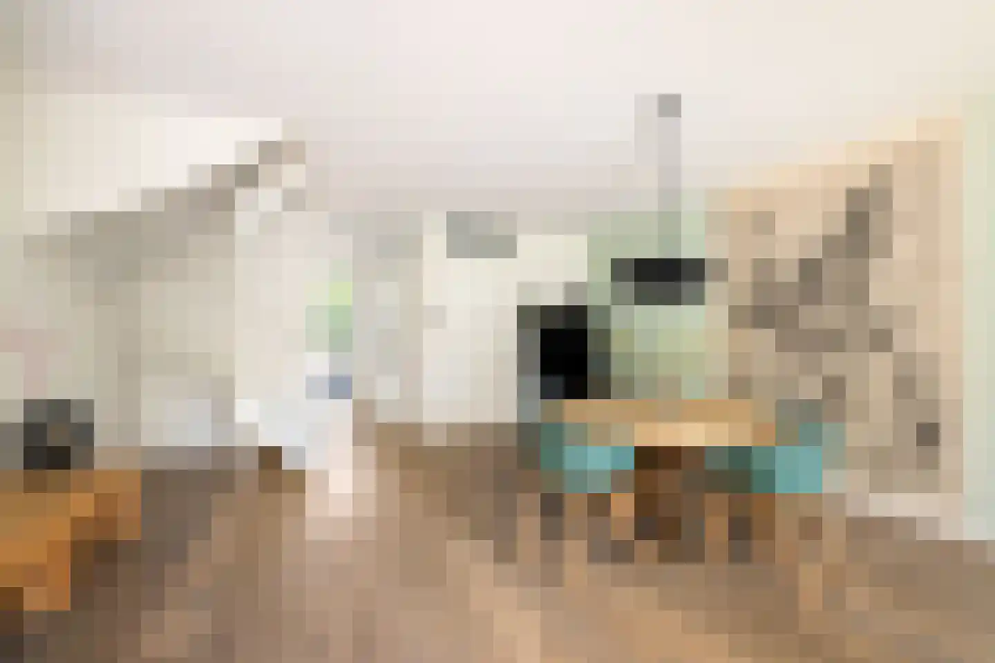 G.J. Scheurleerweg 64 Amsterdam thumbnail 9