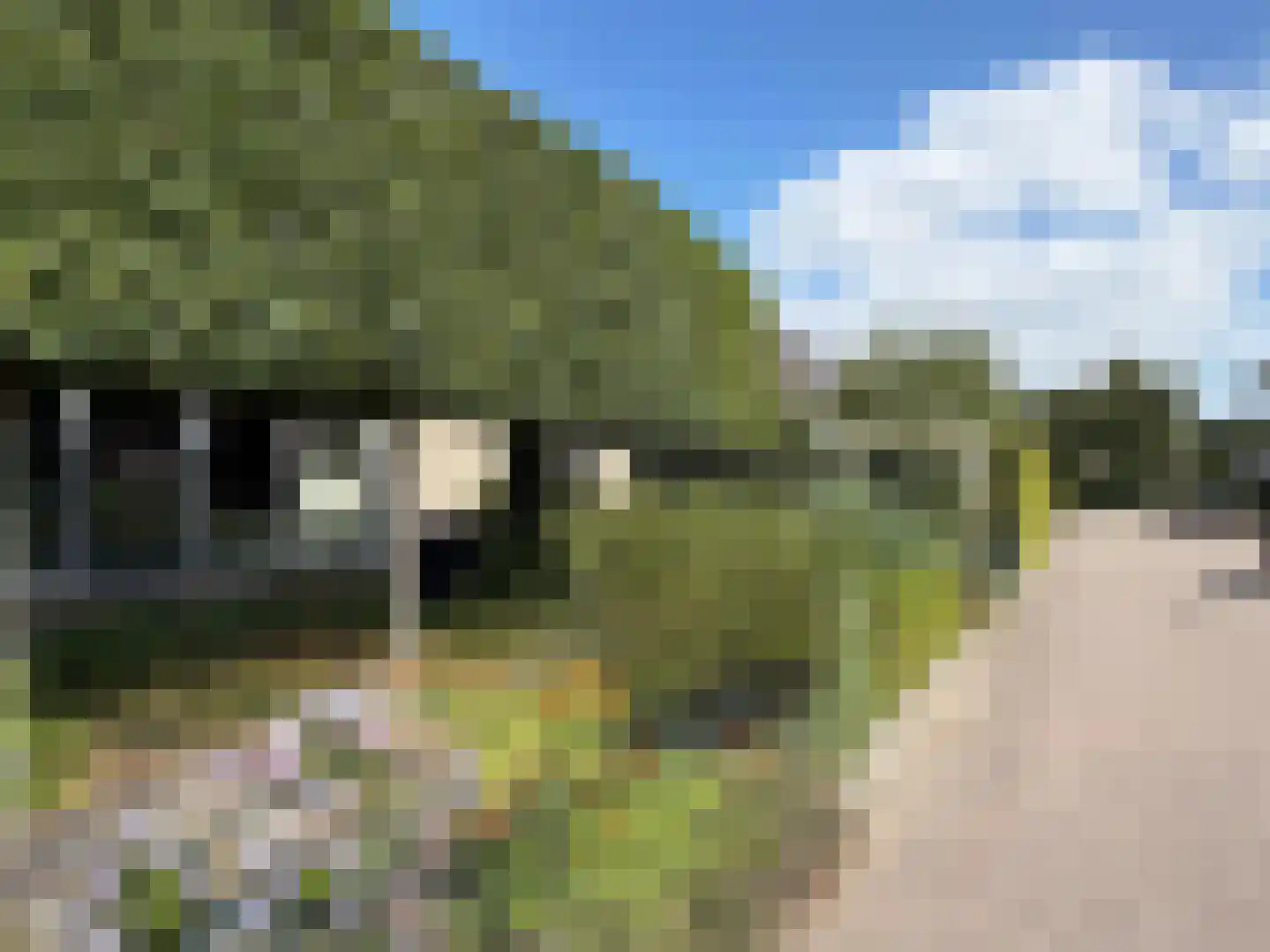 G J Soppestraat 11 Coevorden thumbnail 11
