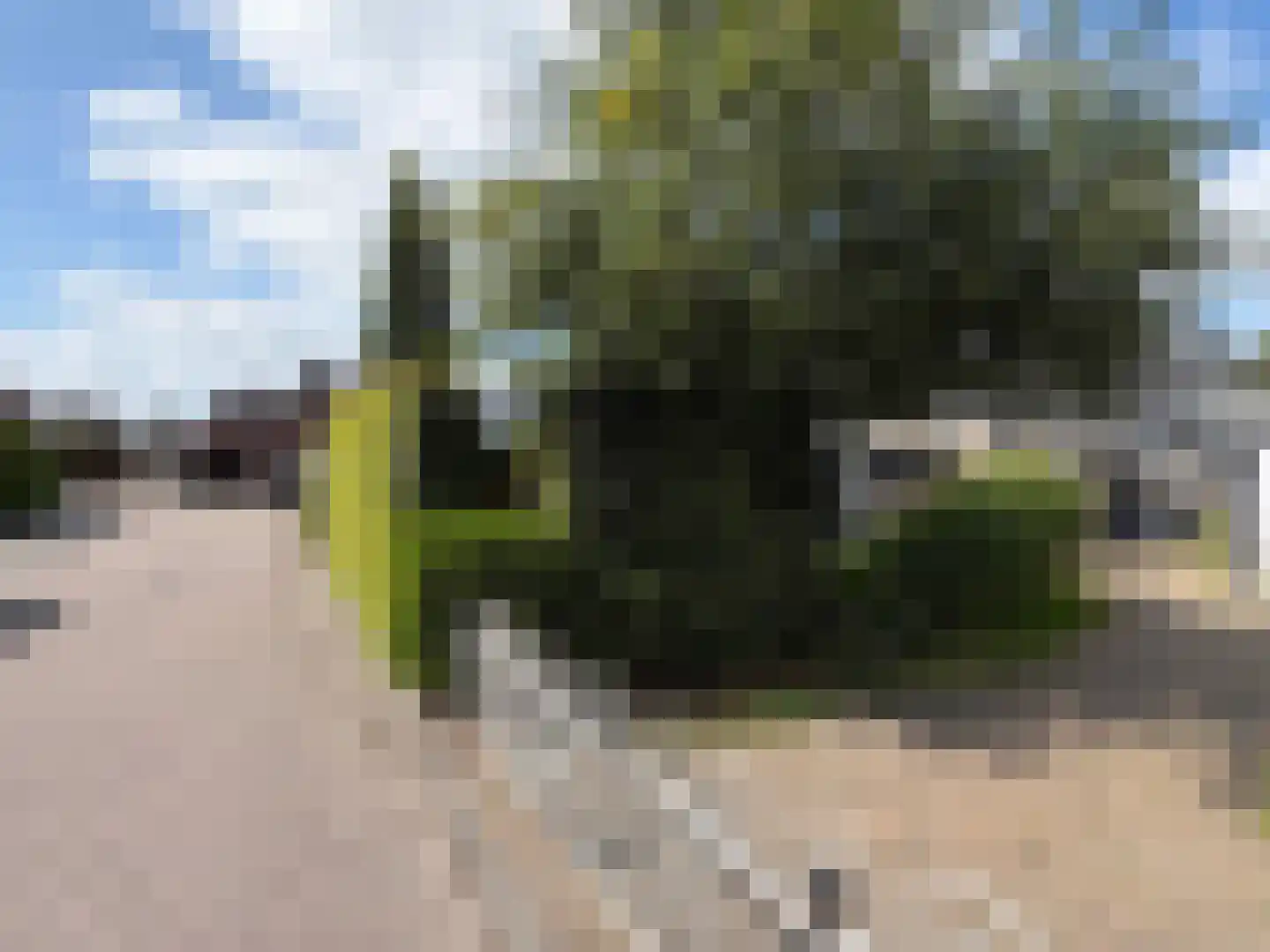 G J Soppestraat 11 Coevorden thumbnail 14