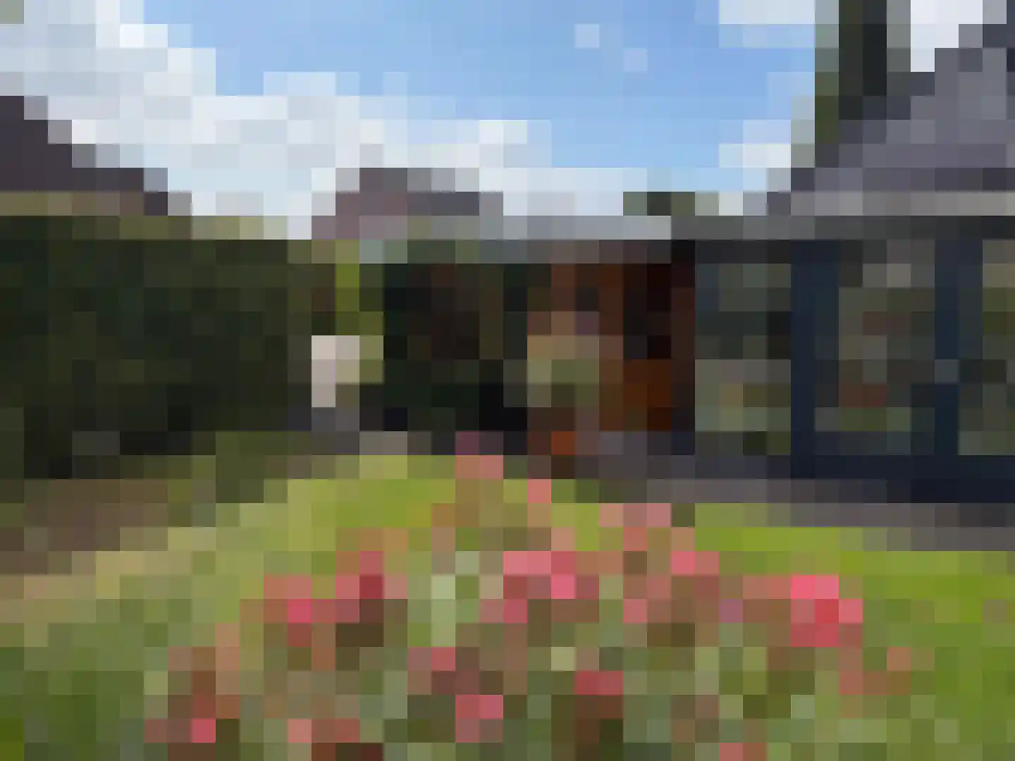 G J Soppestraat 11 Coevorden thumbnail 17