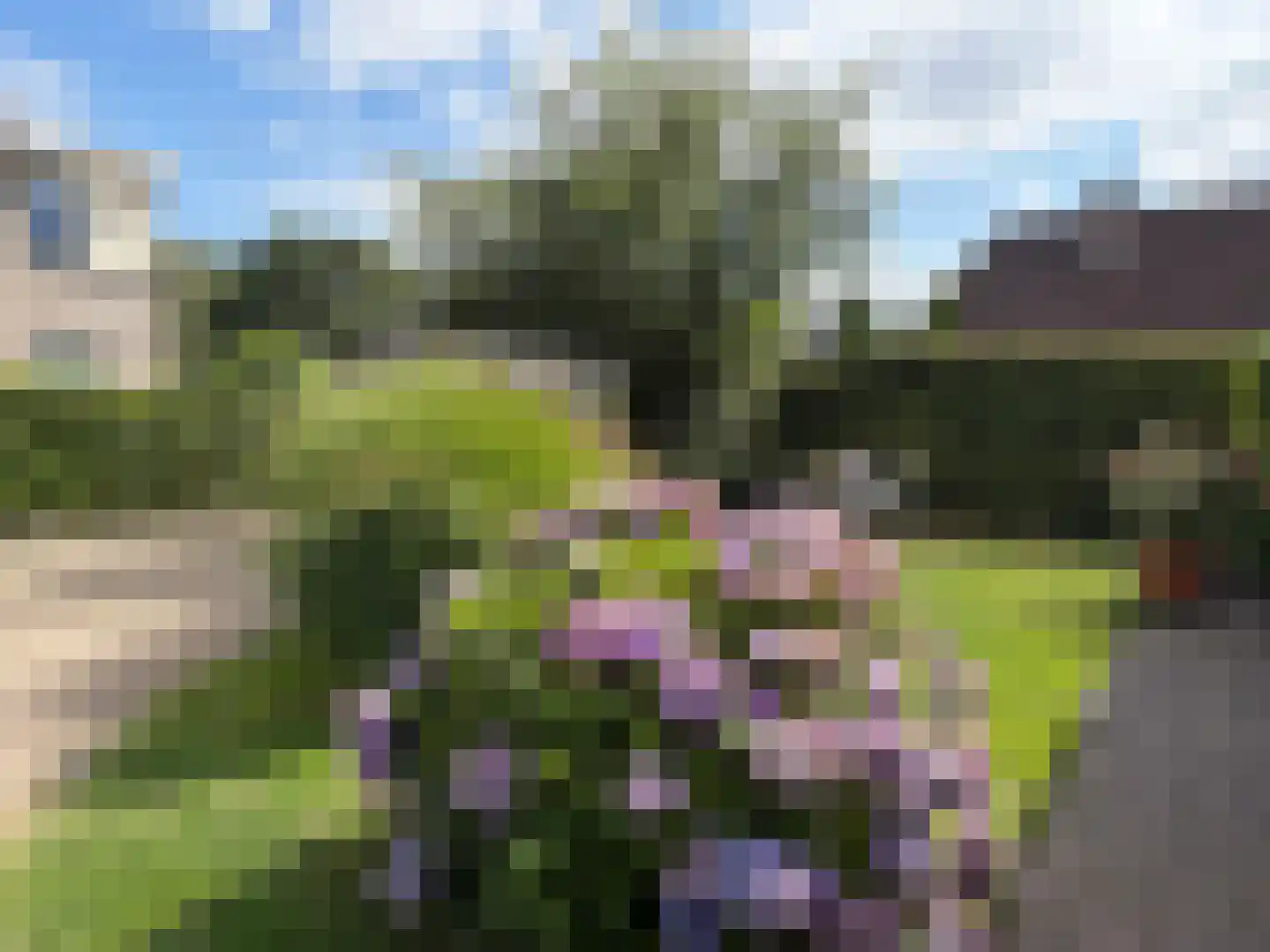 G J Soppestraat 11 Coevorden thumbnail 19