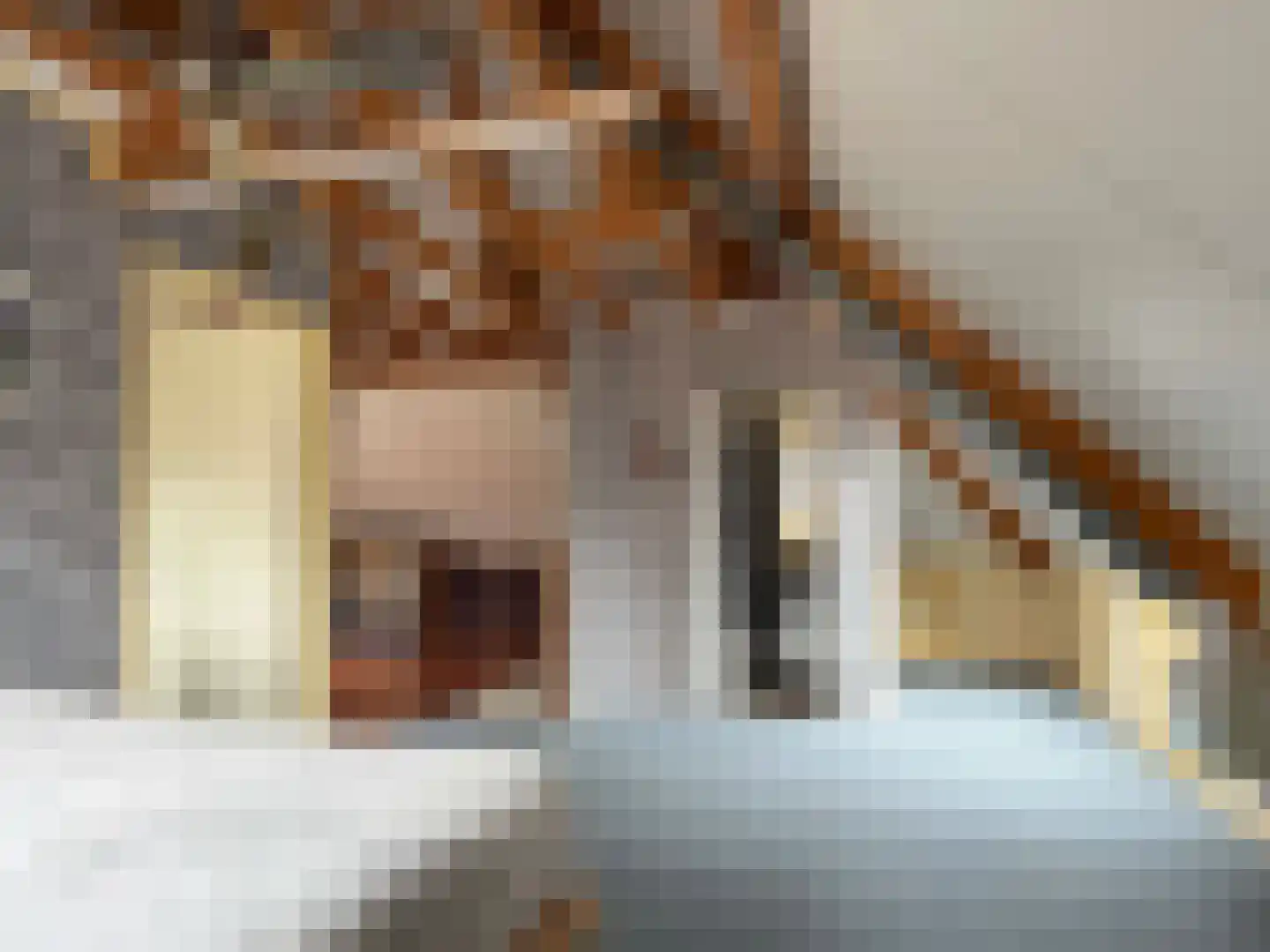 G J Soppestraat 11 Coevorden thumbnail 36