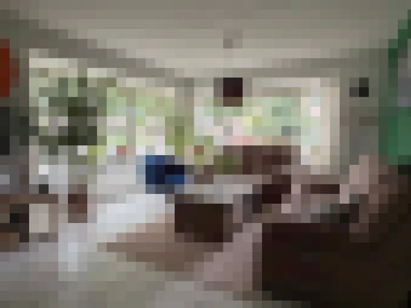 G J Soppestraat 11 Coevorden thumbnail 4