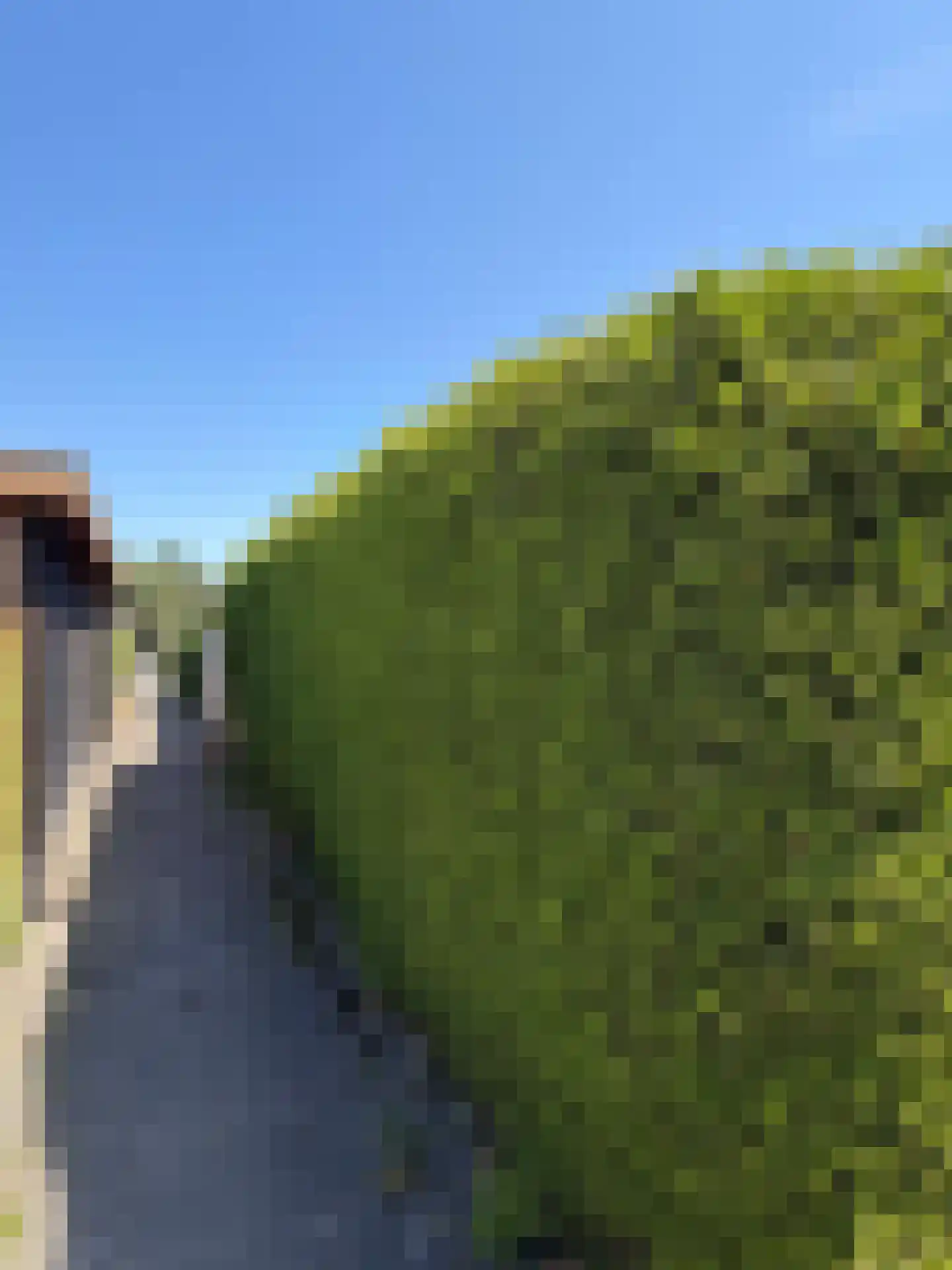 G J Soppestraat 8 Coevorden thumbnail 11