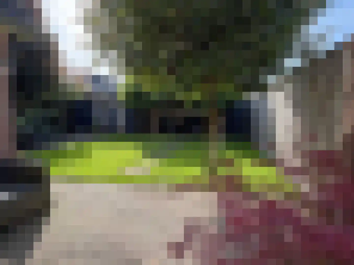 G J Soppestraat 8 Coevorden thumbnail 14