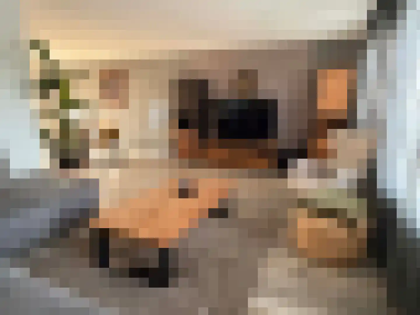 G J Soppestraat 8 Coevorden thumbnail 16