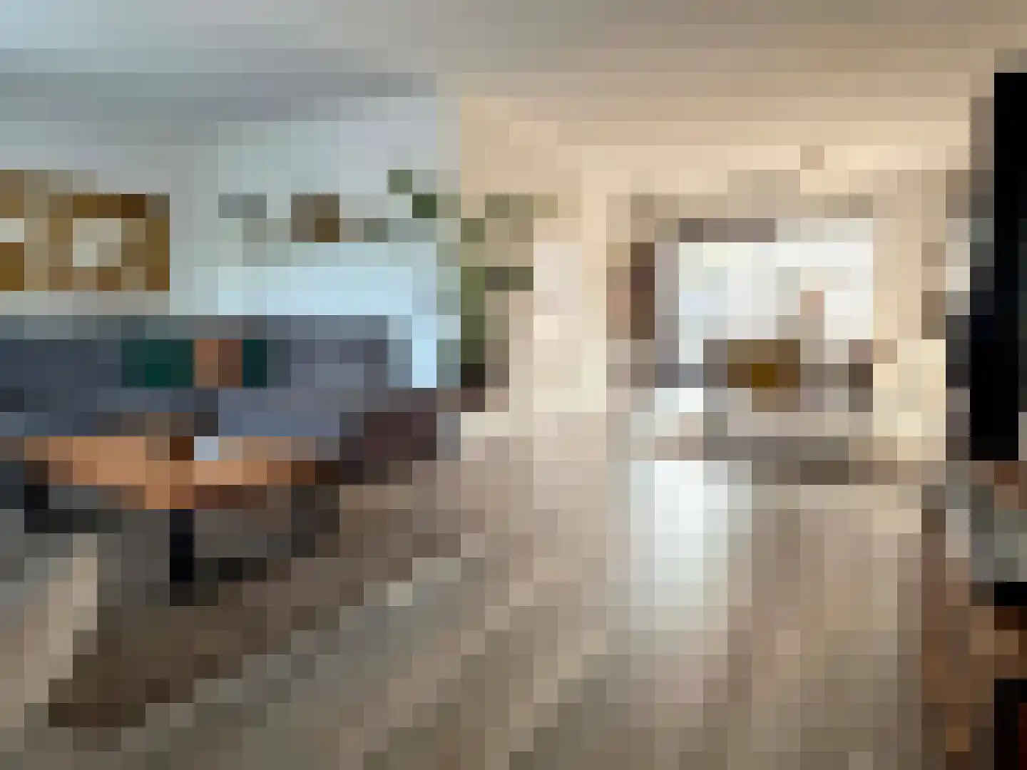 G J Soppestraat 8 Coevorden thumbnail 4