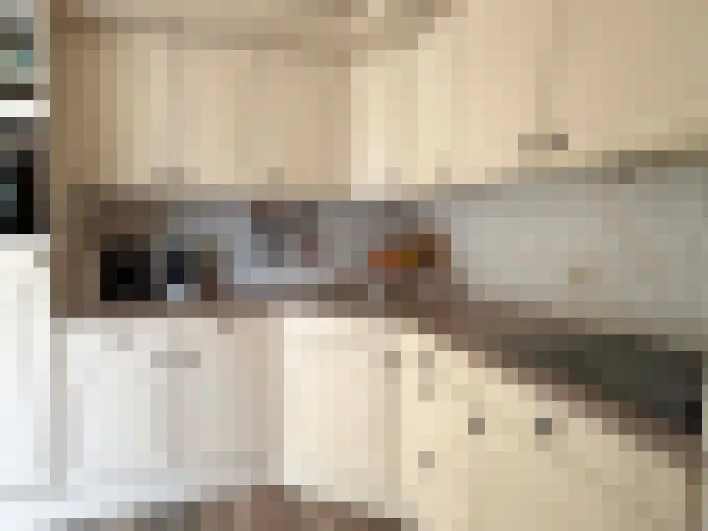 G J Soppestraat 8 Coevorden thumbnail 5