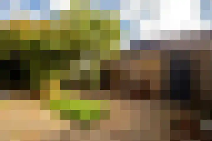 G.J. van der Veenstraat 16 Oudewater thumbnail 18