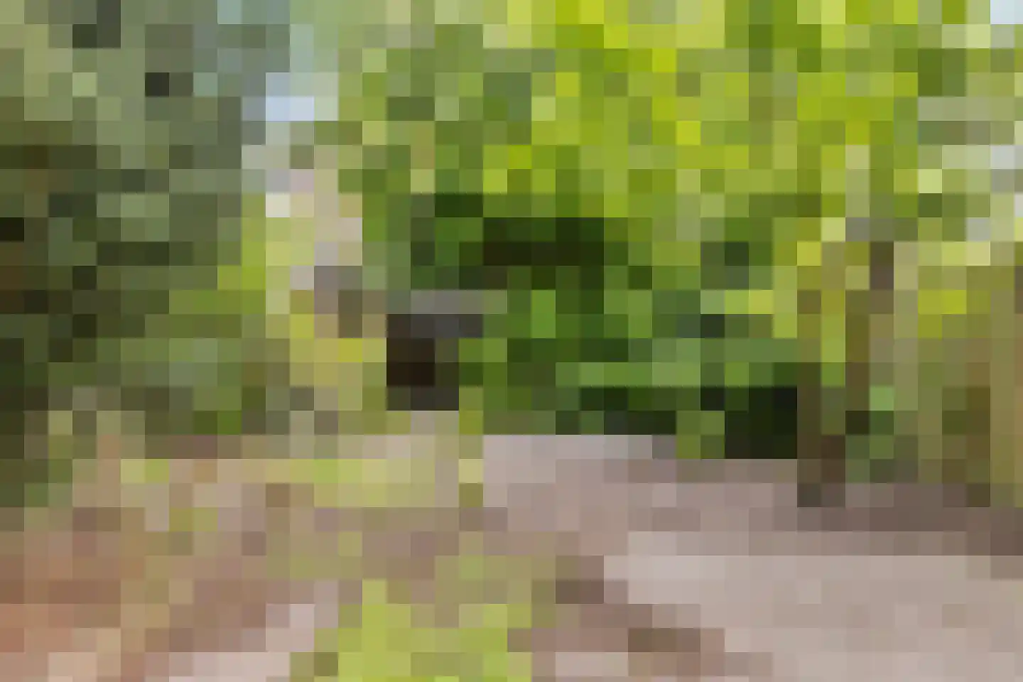 G.K. van Hogendorplaan 6 Veghel thumbnail 30