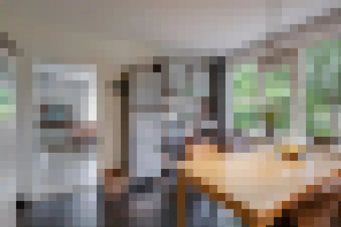 G.L.Rutgersweg 23 b Neede thumbnail 10