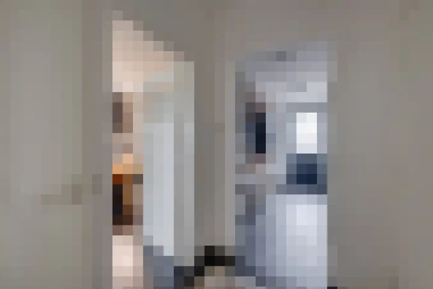 G.L.Rutgersweg 23 b Neede thumbnail 12