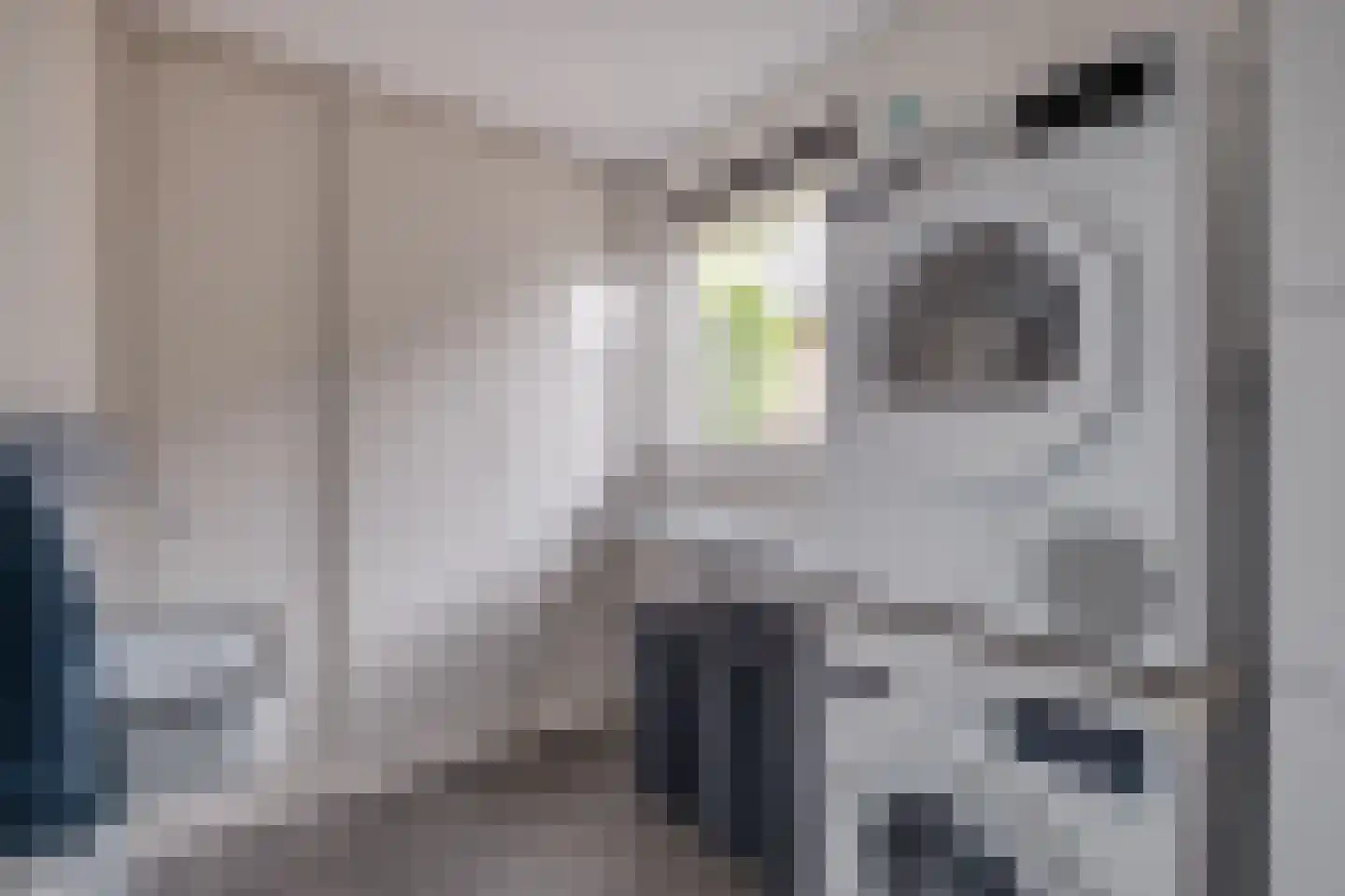 G.L.Rutgersweg 23 b Neede thumbnail 15