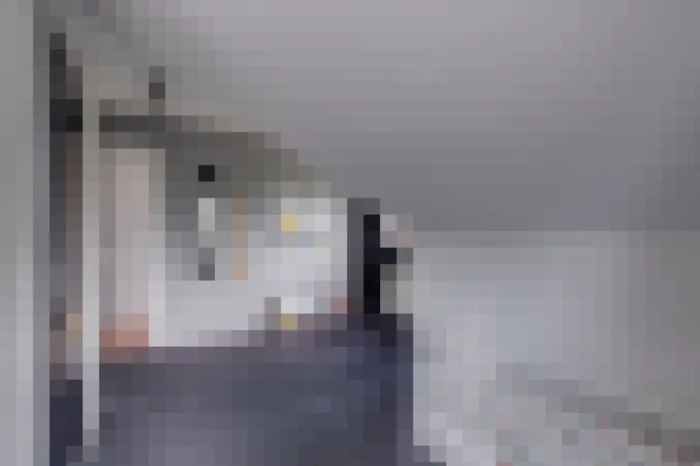 G.L.Rutgersweg 23 b Neede thumbnail 20