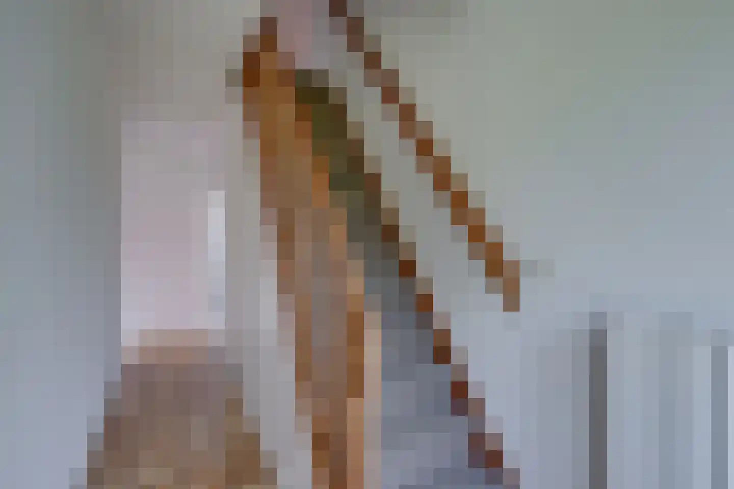 G.L.Rutgersweg 23 b Neede thumbnail 30