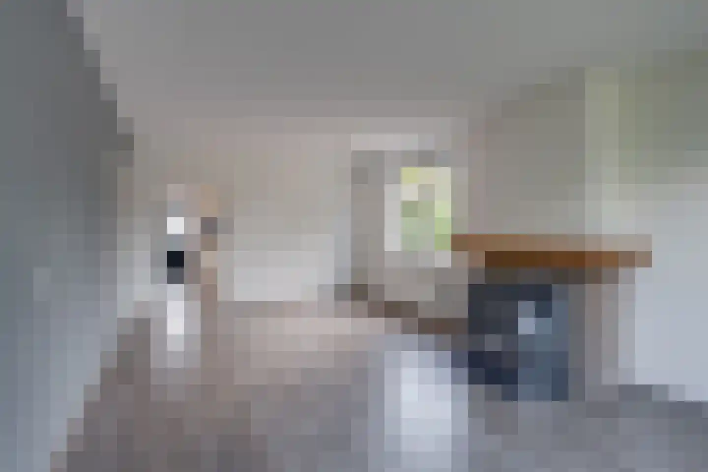 G.L.Rutgersweg 23 b Neede thumbnail 33