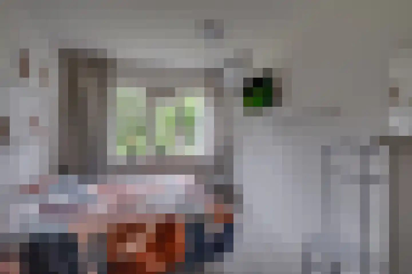 G.L.Rutgersweg 23 b Neede thumbnail 6